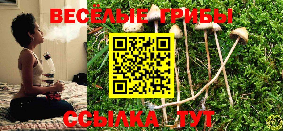 Псилоцибиновые грибы ЛСД  Вход с VPN  Чусовой  Псилоцибиновые грибы мицелий 